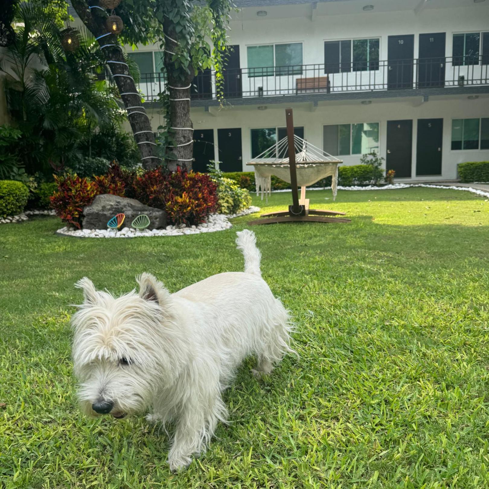 Hotel Boutique Luciernaga Chiconcuac Ngoại thất bức ảnh